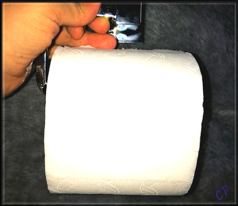 Hallo&World - KYG Verchromt Toilettenpapierhalter Toilet10