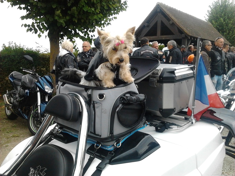 2éme rassemblement Trike-Custom-Moto à Sivry-Courtry (77) Photo119