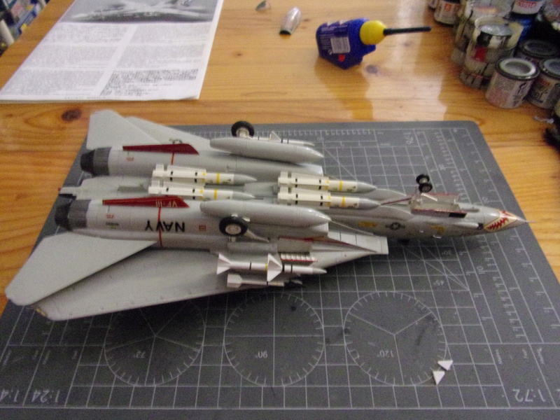 grumman F-14A TOMCAT - Hasegawa - 1/72éme 102_2544