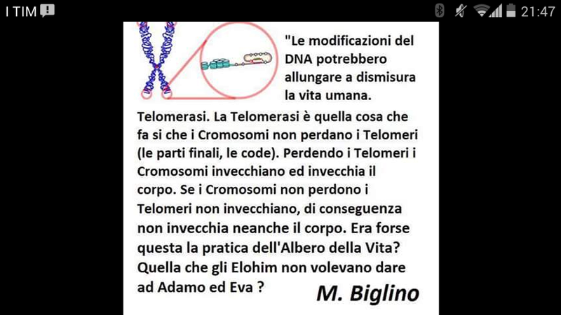 mauro biglino e il "dio alieno" della bibbia - Pagina 5 Screen10