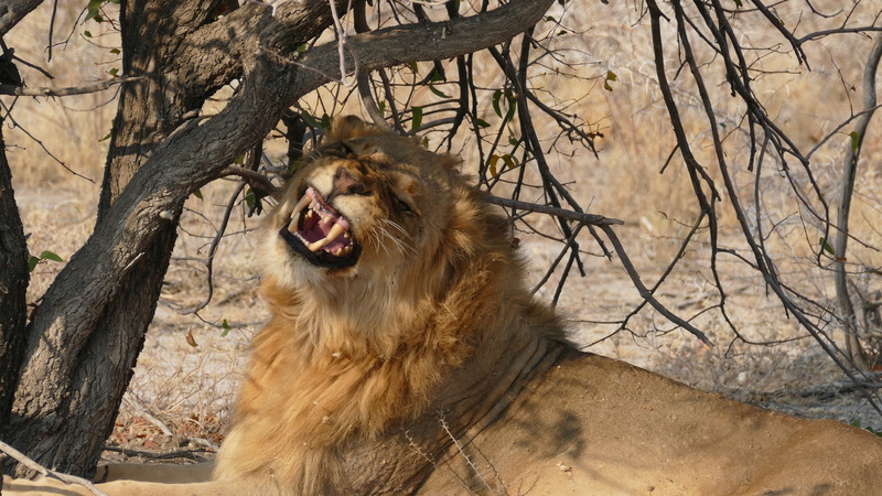 Namibie Août 2016 P1110115