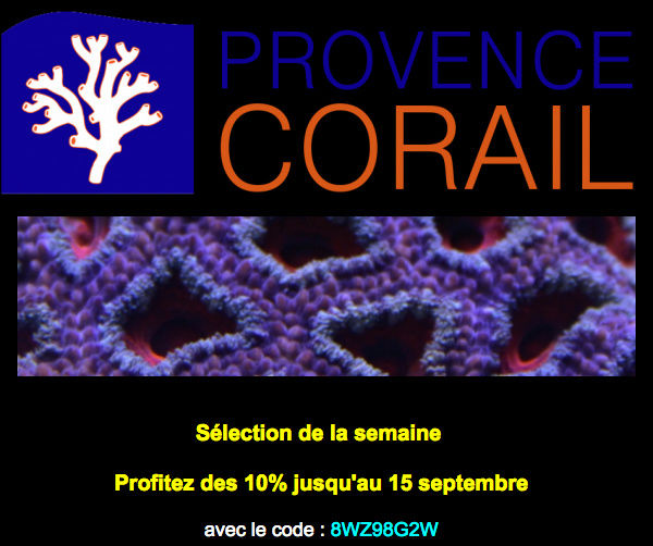 provence corail - Page 2 Captur10