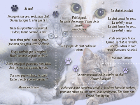Poesie Et Textes Les Chats Et L Automne