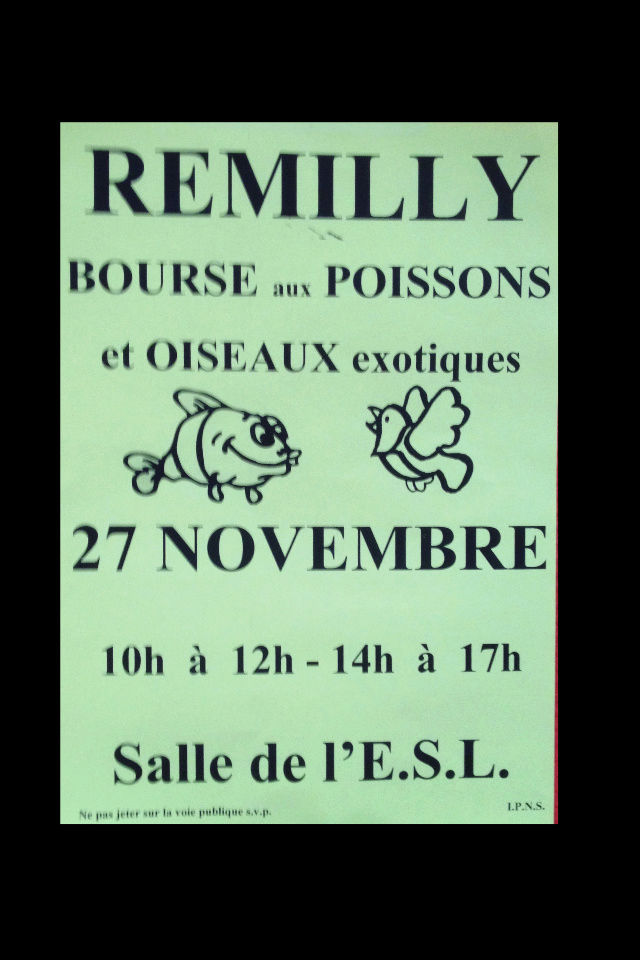 Bourse aux poissons à Rémilly - 27 novembre 2016 Img_0211