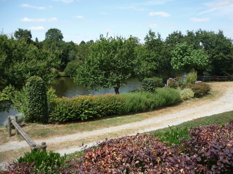 Ballade entre Saumur et Nantes P1050141