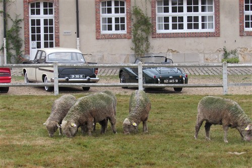6ème Rallye du Rendez-Vous de la Reine le 18 septembre 2016 - Page 2 Img_3317