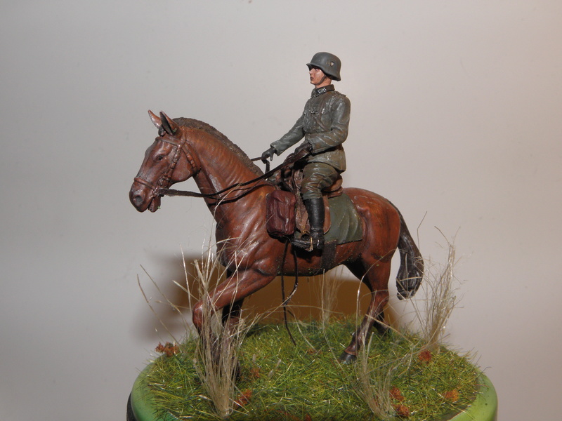 cheval et cavalier allemand  Cavali13