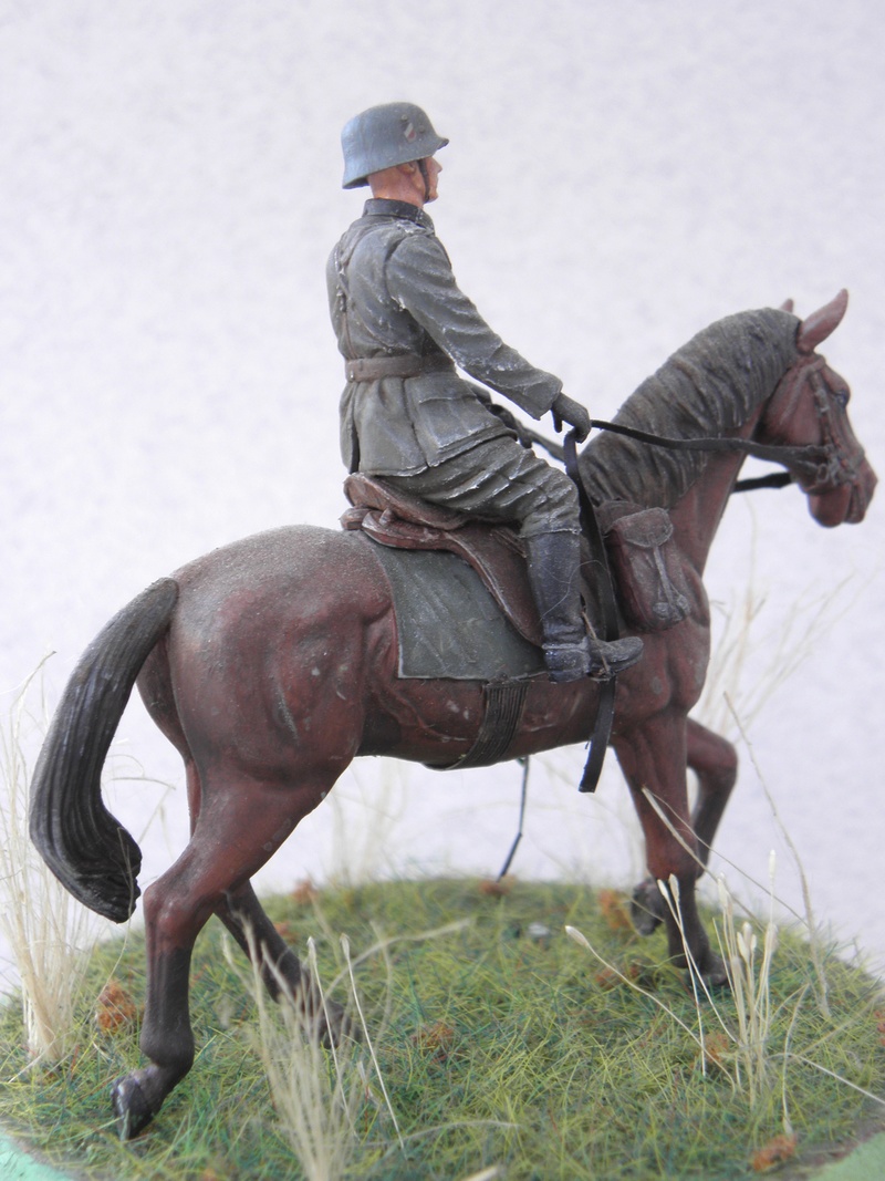 cheval et cavalier allemand  P9090612