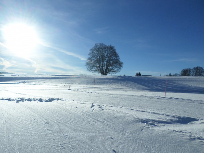 Stade de Biathlon la Féclaz (Savoie Grand Revard) Tribun10