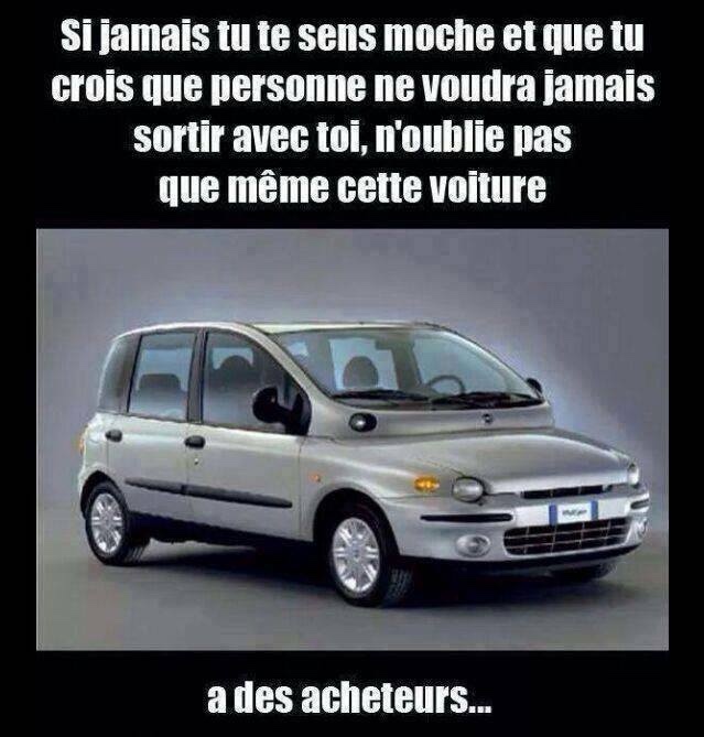 humour - Page 34 14457510
