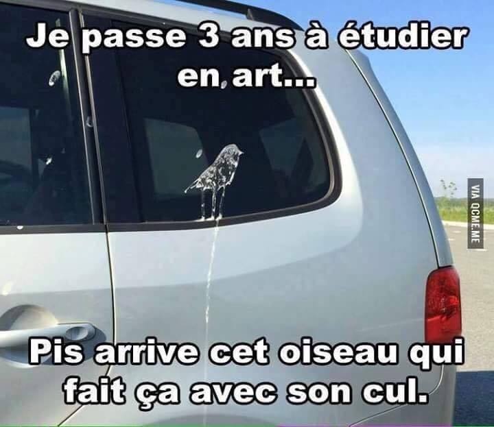 humour - Page 34 14469511