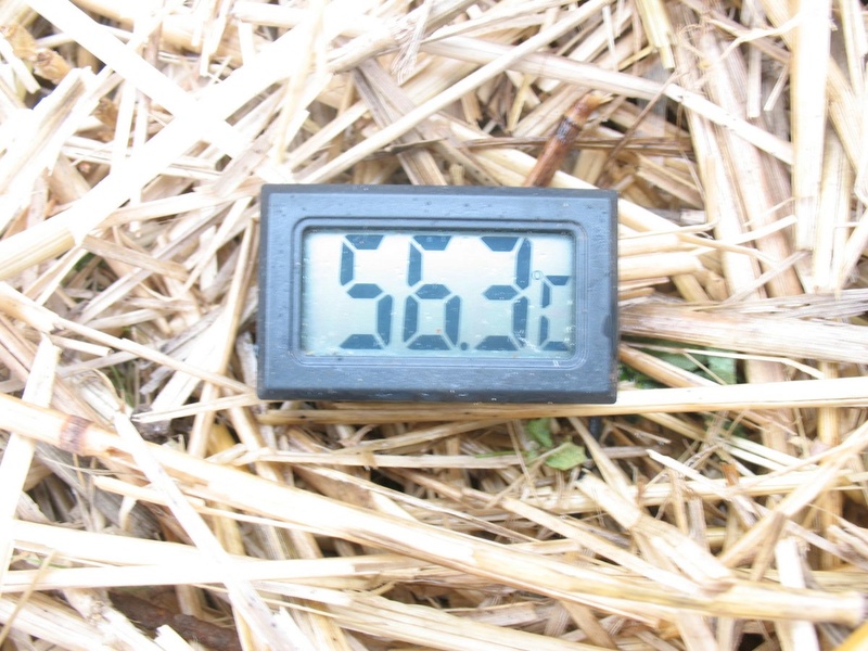 compost thermometer - TrolleyDriver's Compost Thermometer - Page 3 Img_2711