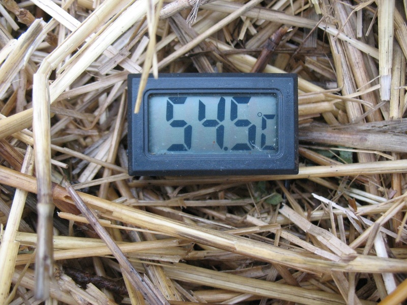 compost thermometer - TrolleyDriver's Compost Thermometer - Page 3 Img_2712