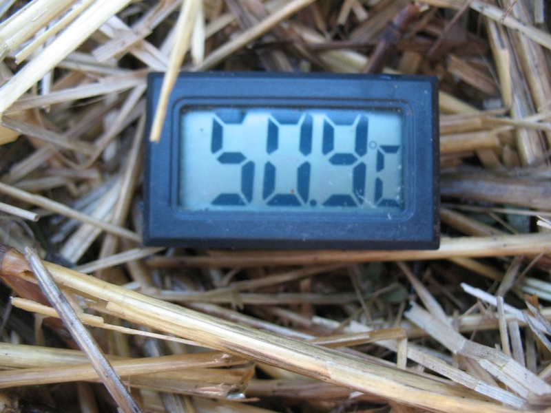 compost thermometer - TrolleyDriver's Compost Thermometer - Page 3 Img_2713