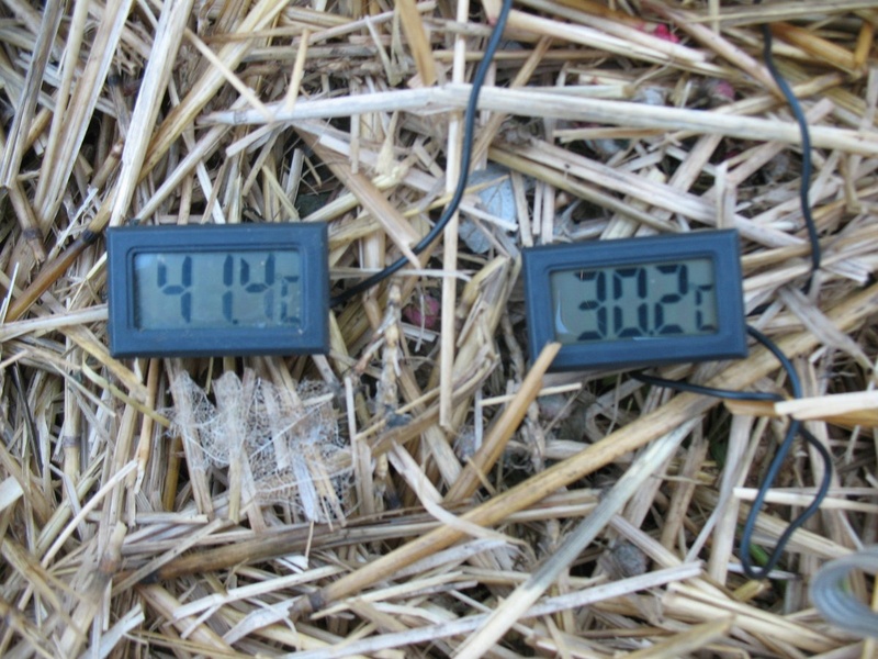 compost thermometer - TrolleyDriver's Compost Thermometer - Page 3 Img_2716