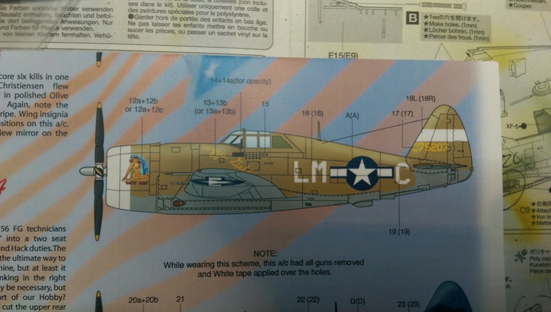 P-47D Tamiya 1/48 Imag3211