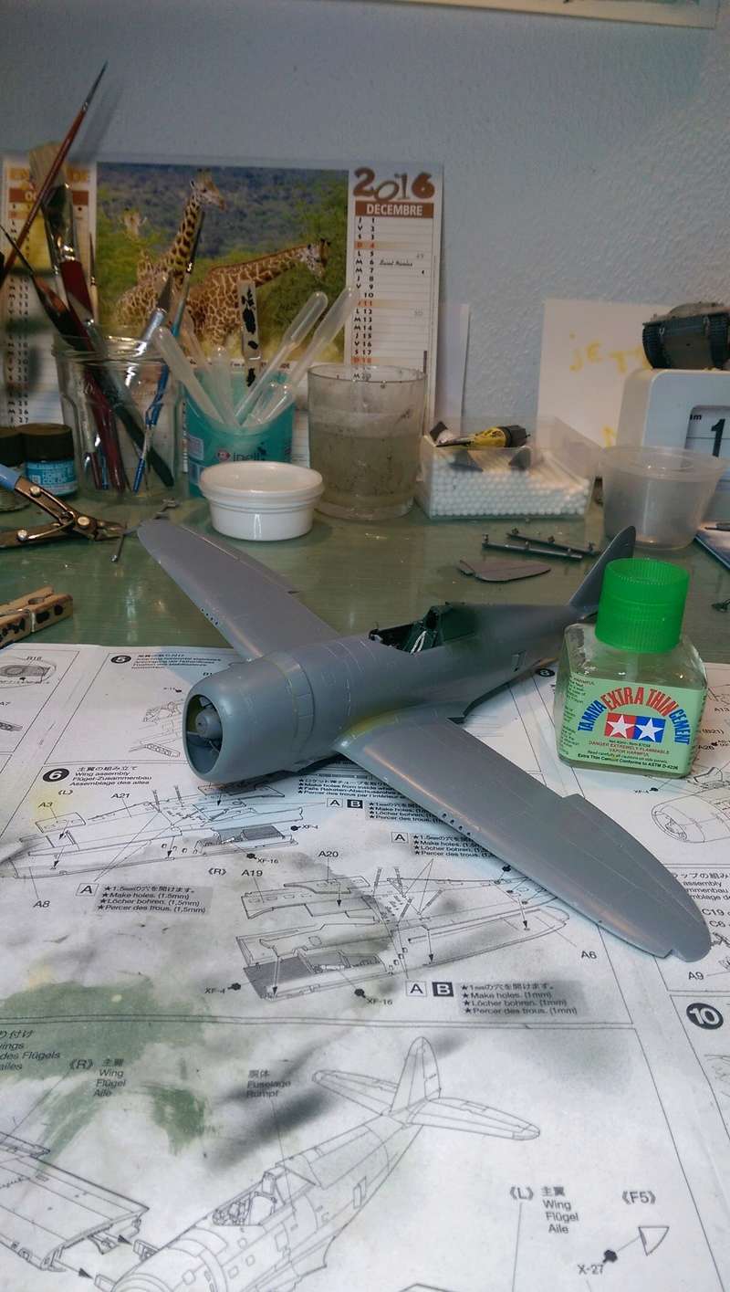 P-47D Tamiya 1/48 - Page 2 Imag3224