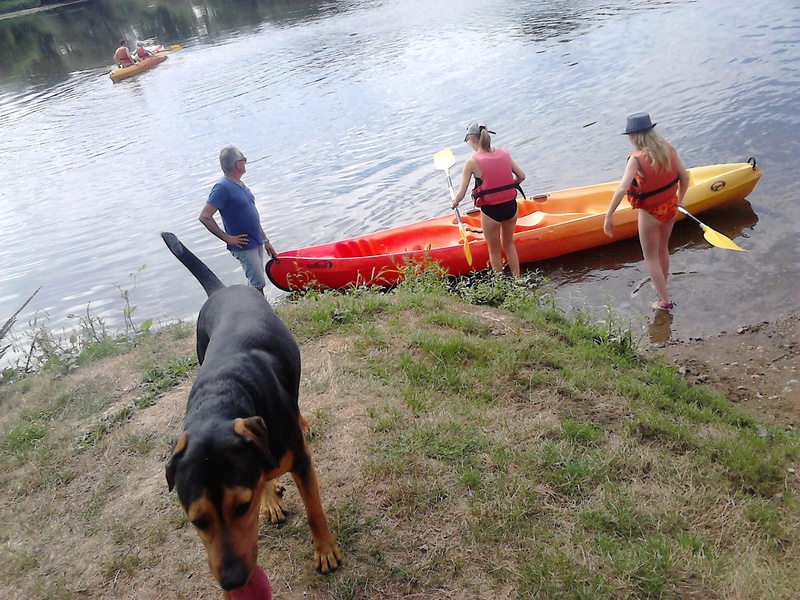 dur dur d"etre un chien  Dsc_0914