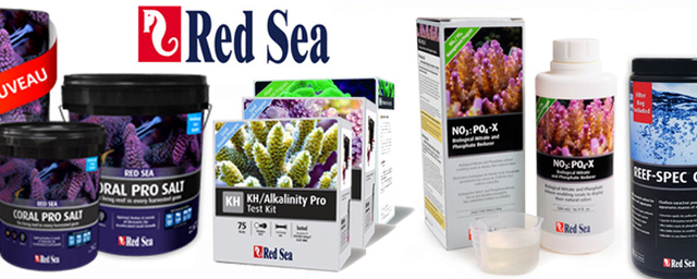 Red Sea arrive sur Zoanthus.fr, 5% de remise ! Redsea10