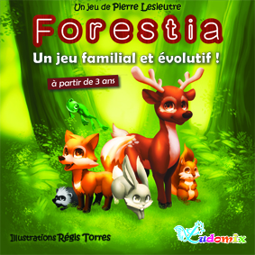 Présentation de mon jeu "Forestia" lors de la soirée du 08 novembre 2016 Forest11