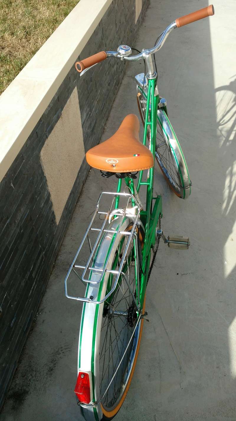 Motobecane année 60/70, novice en restauration - Page 5 Img_2011