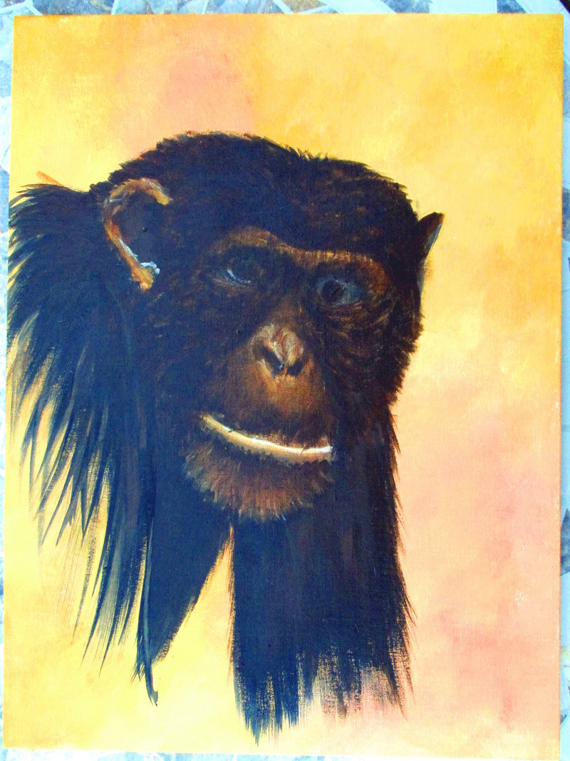 Paysage en cours (acrylique) Chimp_12