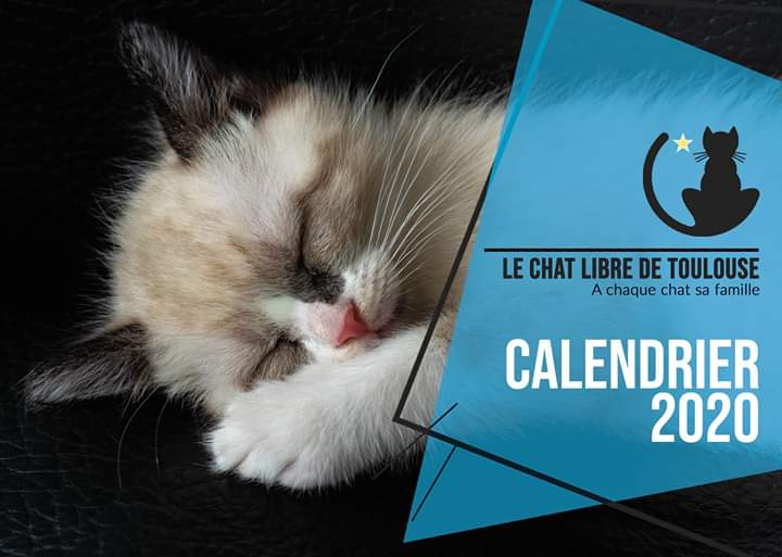 Achetez notre calendrier 2020 Calend10