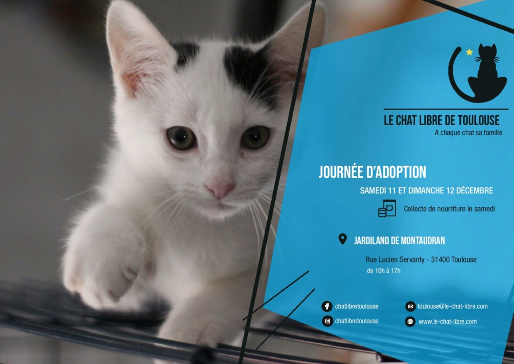 [ADOPTION] SAMEDI 11 ET DIMANCHE 12 DECEMBRE 2021 : JARDILAND MONTAUDRAN Jardil10