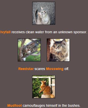 WCC Hunger Games (Round 2) D6_210