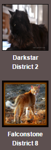 WCC Hunger Games Ft2_410