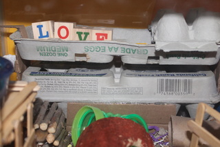 Oh Daisy Img_0516