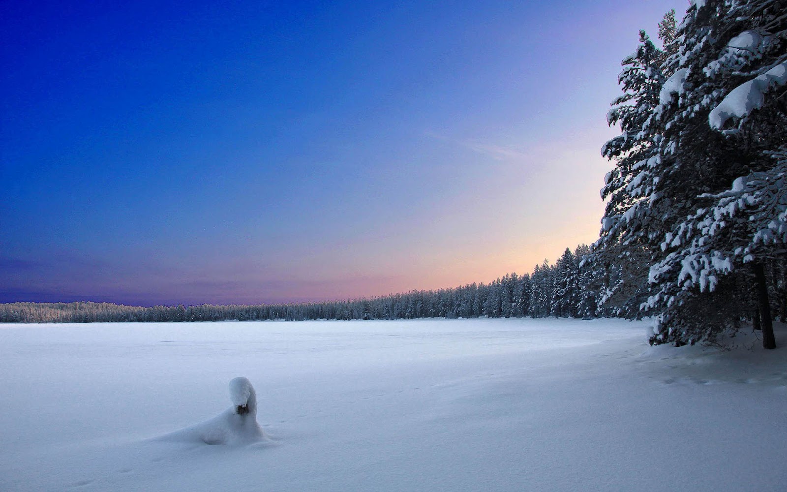 Finlandia  - Página 6 Winter11