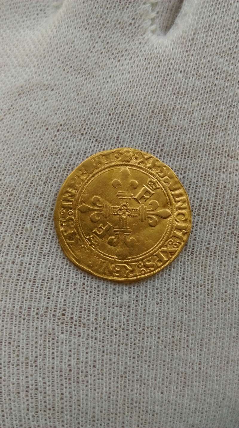 écu d'or du Dauphiné de François Ier 2ème type  Imag1011