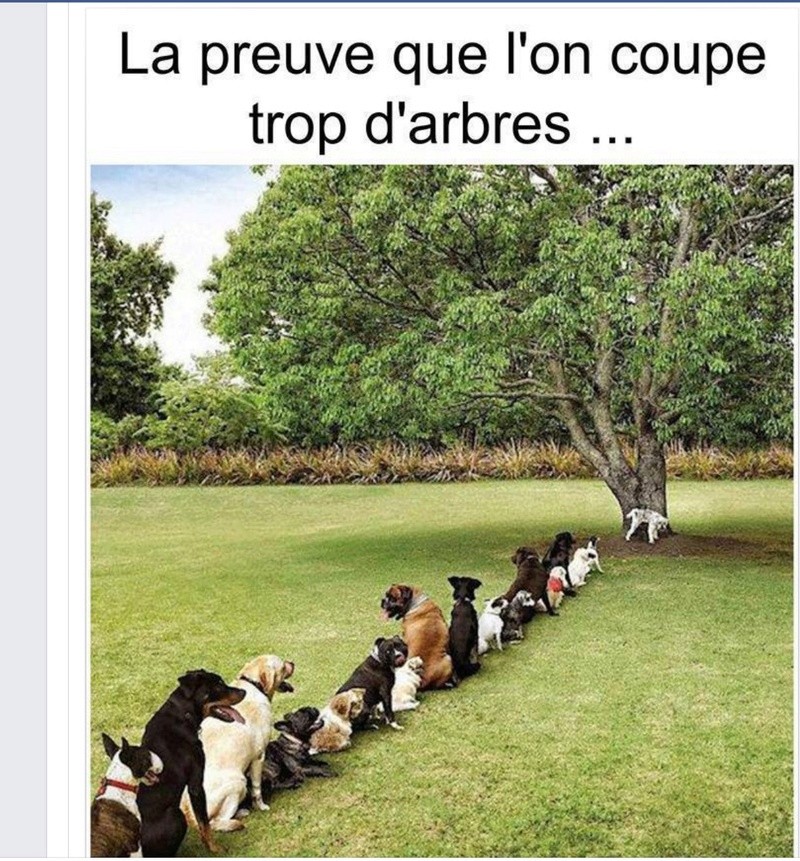 humour en images II - Page 2 6t3yz610