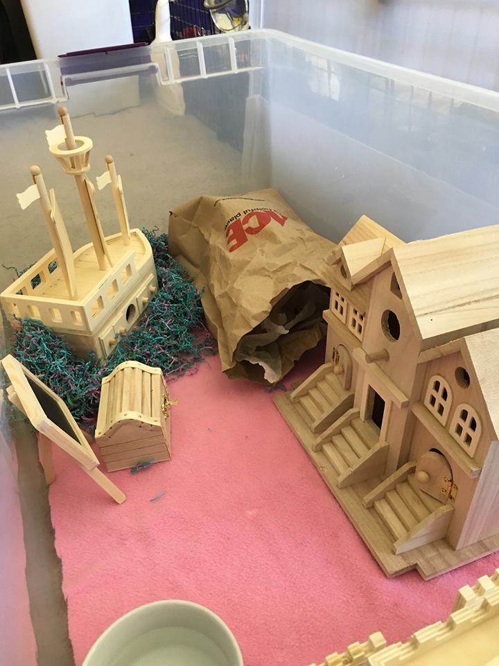 Facilitating playtime with a flight risk... - Page 2 14484910