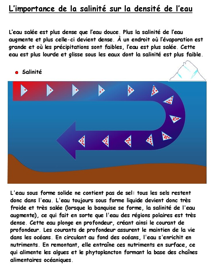 Chapitre 6 L'importance du pétrole Salini10