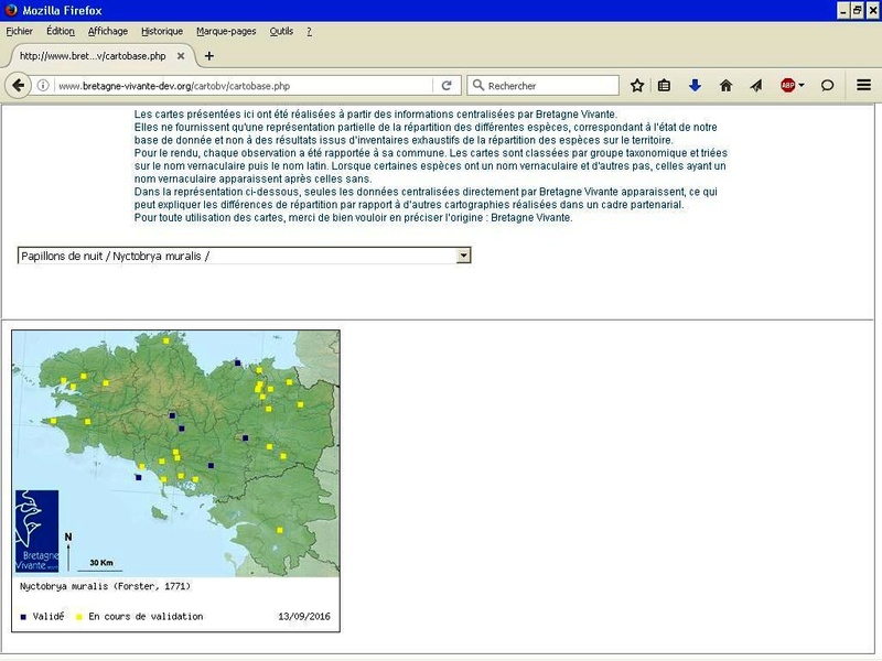 Visualiser les données naturalistes sur cartes. Nyctob14