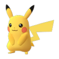 Le Premier Pokémon Pikach12