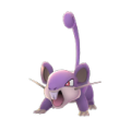 Le Premier Pokémon Rattat12
