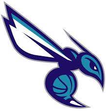 Charlotte Hornets Hornet11