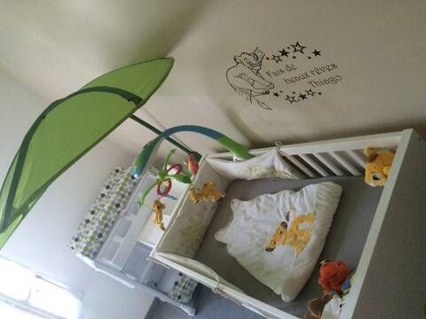 Chambre Bebe Garcon Le Roi Lion De Mon Petit Chat