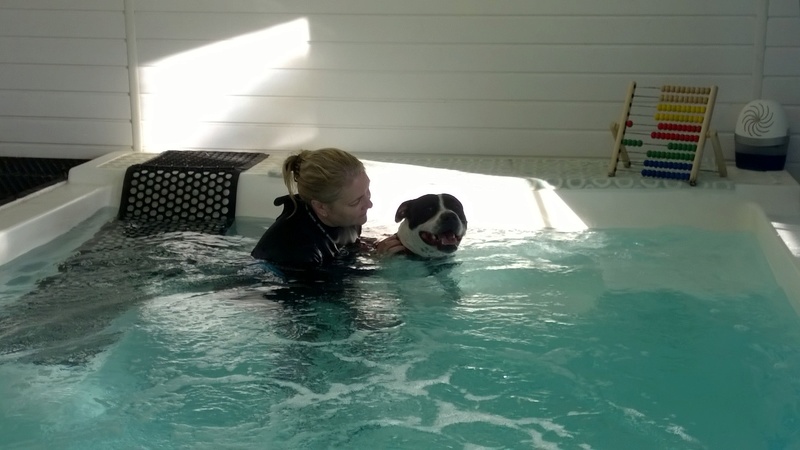 Hydrotherapy Wp_20129