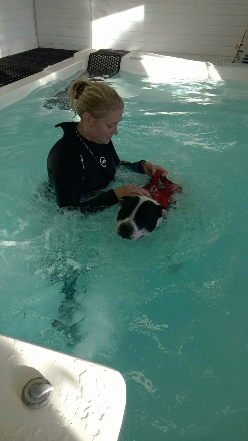 Hydrotherapy Wp_20131