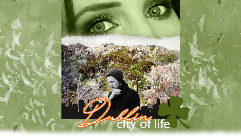 Dublin : City of life