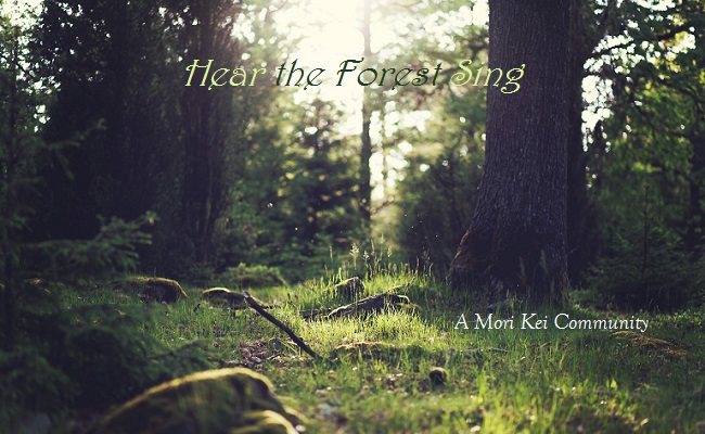 Hear the Forest Sing