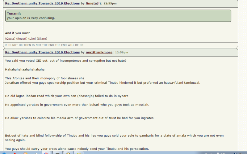 See What a Yoruba Guy posted about "Southern unity Towards 2019 Elections " 0111