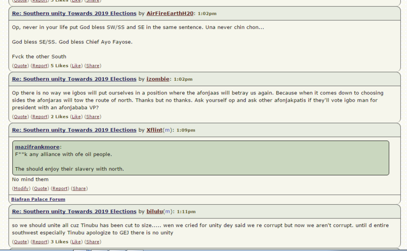 See What a Yoruba Guy posted about "Southern unity Towards 2019 Elections " 0113