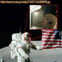 NASA Fail Compilation - Page 5 A17-fi11