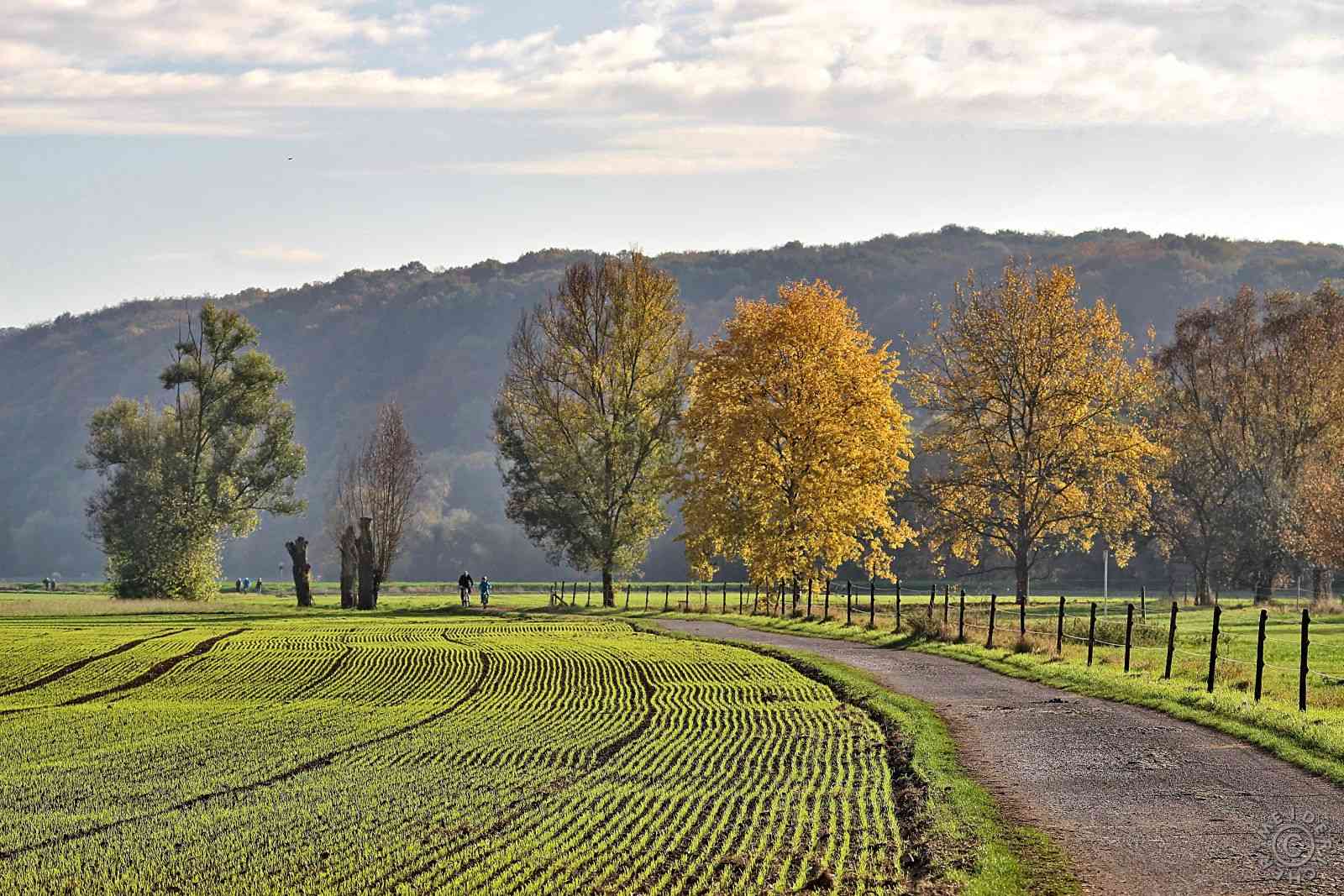 MülheimanderRuhr - Herbstimpressionen 710