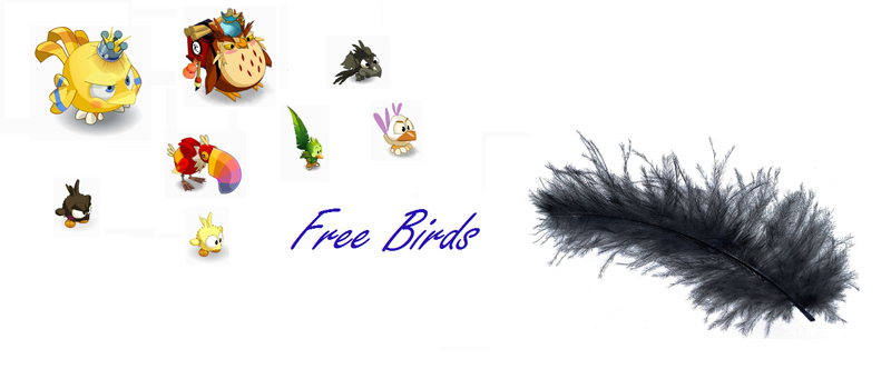 La Free Birds ! Couver10
